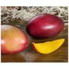 Fruites i  Verdures Lluís Macià Mango Avió Premium Kent