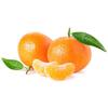 Camarasa Fruits Mandarinas Sanahuja 1a. Malla 1kg