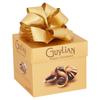 Guylian Chocolats Belges Fourrés au Praliné Noisettes 18 Pièces 195 g