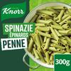 Knorr (Pâtes) Penne Epinards 300 g