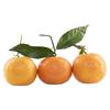 Carrefour Clementines Feuille - 5 pieces