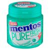 Mentos Gum Pure Fresh Wintergreen 55 Pieces