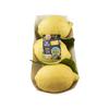 Carrefour FQC Citrons 500g