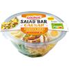 DAUNAT 
    Daunat Salad'bar caesar poulet rôti 250g
