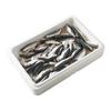 LA MARÉE DU JOUR 
    Filets de sardines
