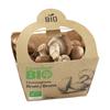Carrefour Bio Bruine Champignons 250 g