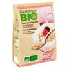 Carrefour Bio Havervlokken 500 g