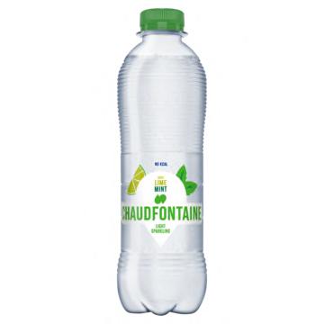 Chaudfontaine Taste Lime Mint 500ml