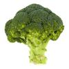 PLUS Broccoli Doos  500 gram