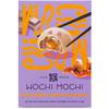 Wochi Mochi Iced mochi chocolate salted caramel