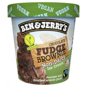 Ben & Jerry's Chocolate fudge brownie non-dairy