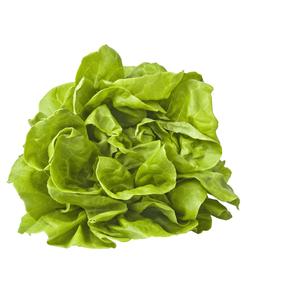 PLUS Kropsla