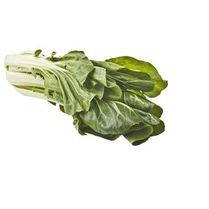 PLUS Paksoi