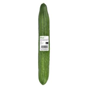 Biologisch PLUS Komkommer