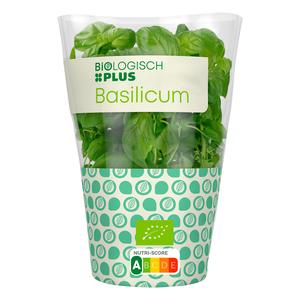Biologisch PLUS Basilicum