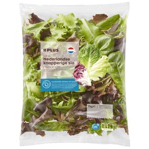 PLUS Nederlandse knapperige slamelange