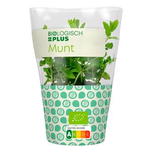 Biologisch PLUS Munt