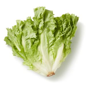 PLUS Andijvie (krop)