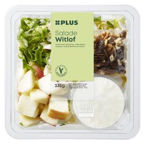 PLUS Salade Witlof