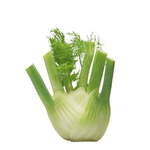PLUS Venkel