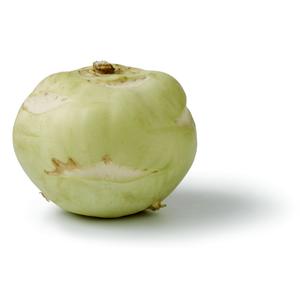 PLUS Koolrabi