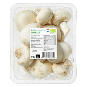 Biologisch PLUS Paddenstoelen Champignons wit bio