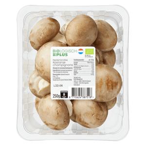 Biologisch PLUS Paddenstoelen Kastanjechampignons