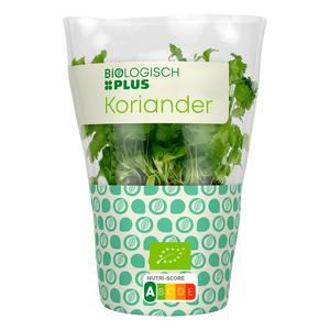 Biologisch PLUS Koriander