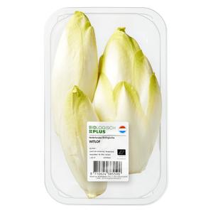 Biologisch PLUS Witlof