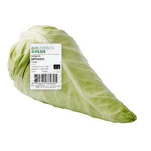 Biologisch PLUS Spitskool