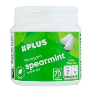 PLUS Kauwgom Spearmint