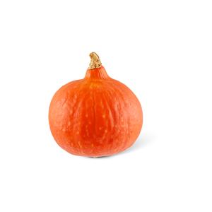1 de Beste Oranje pompoen