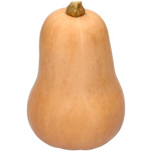 1 de Beste Flespompoen