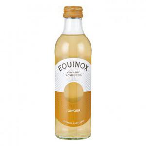 Equinox Kombucha ginger