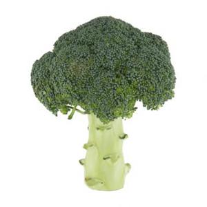 Jumbo Broccoli (1 à 2 Stronken)