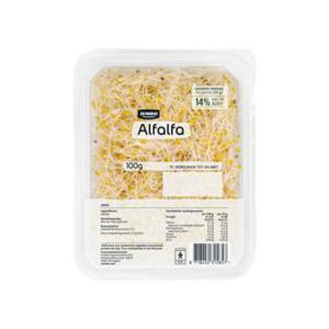 Jumbo Kiemgroente Alfalfa 100g