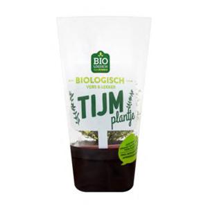 Jumbo Biologisch Tijm Plantje