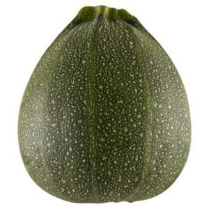 Jumbo Bolcourgette