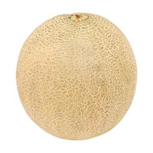 Jumbo Cantaloupe Meloen