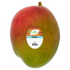 Best Choice Mango XXL