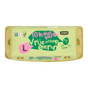 Jumbo 10 Vrije Uitloopeieren L