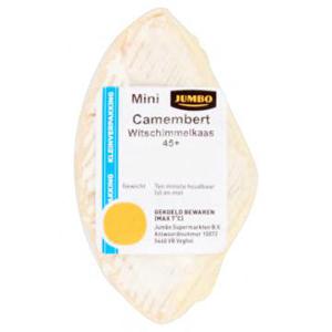 Jumbo Mini Camembert 45+ Kleinverpakking 73g