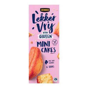 Jumbo Lekker Vrij van Gluten Mini Cakes 6 Stuks 230g