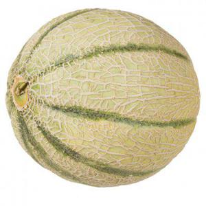 AH Cantaloupe meloen