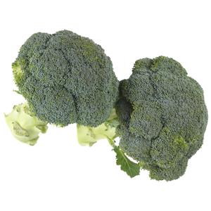 Bio+ Biologische broccoli