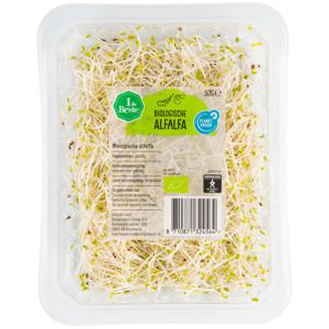 1 de Beste Biologisch Biologische alfalfa