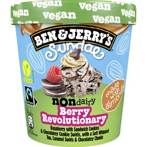 Ben & Jerry's Non-dairy berry revolutionary sundae