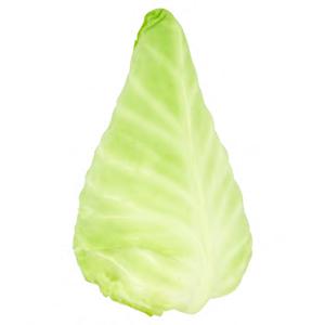 Jumbo Spitskool