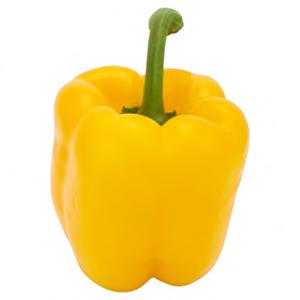 Jumbo Paprika Geel