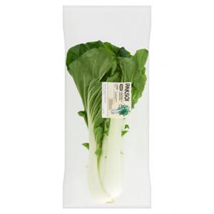 Jumbo Paksoi